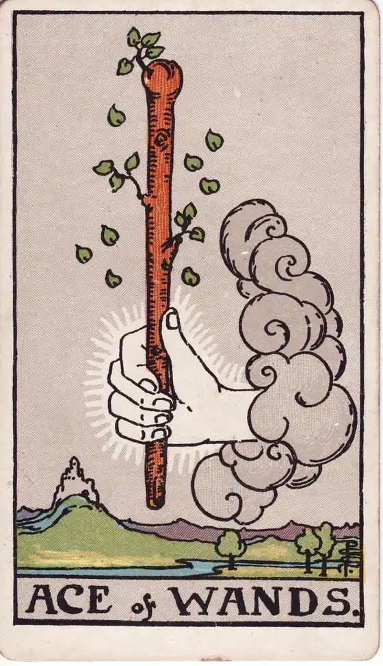 As de Bastos, carta del tarot Rider-Waite-Smith